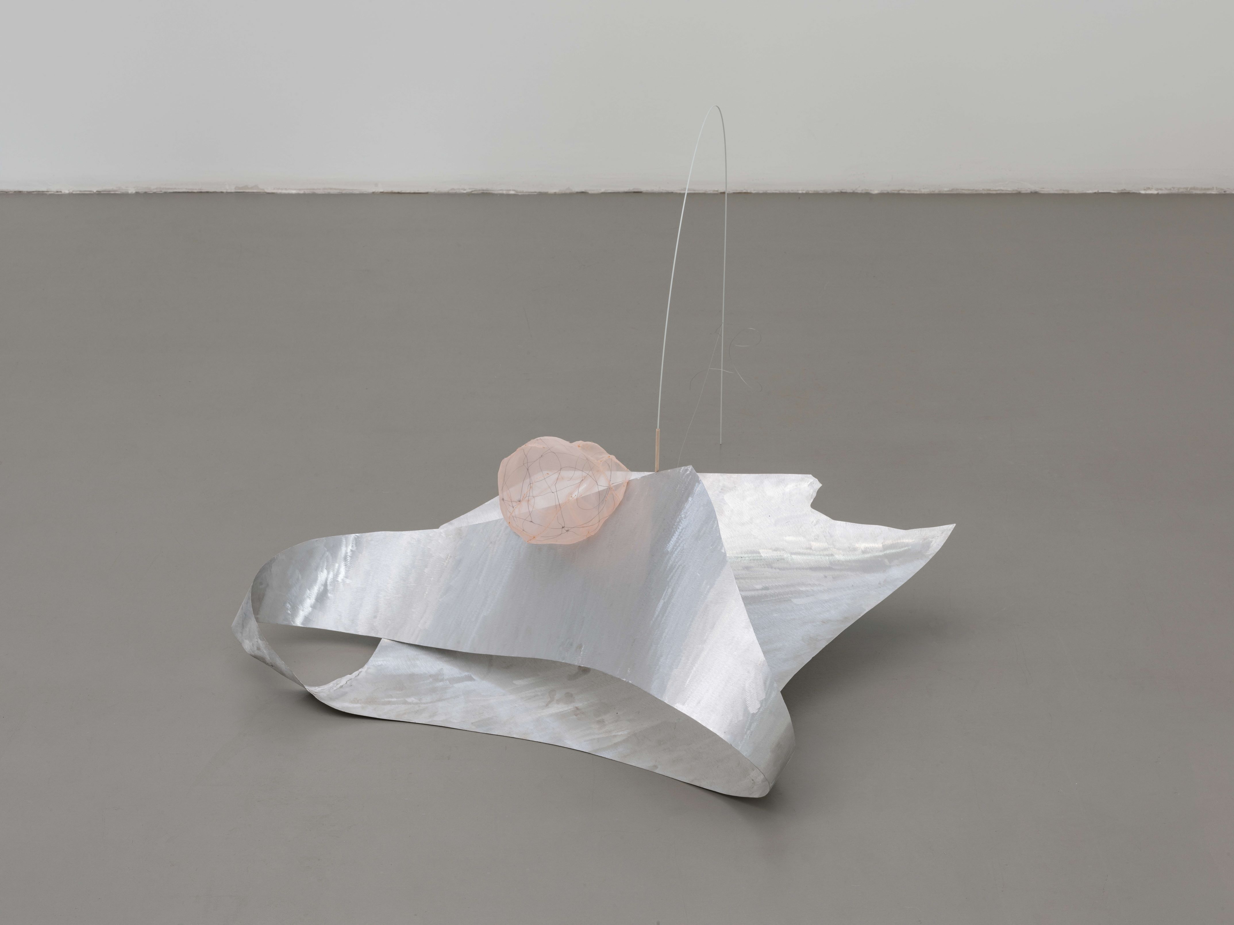 Rituals of Perception 2026