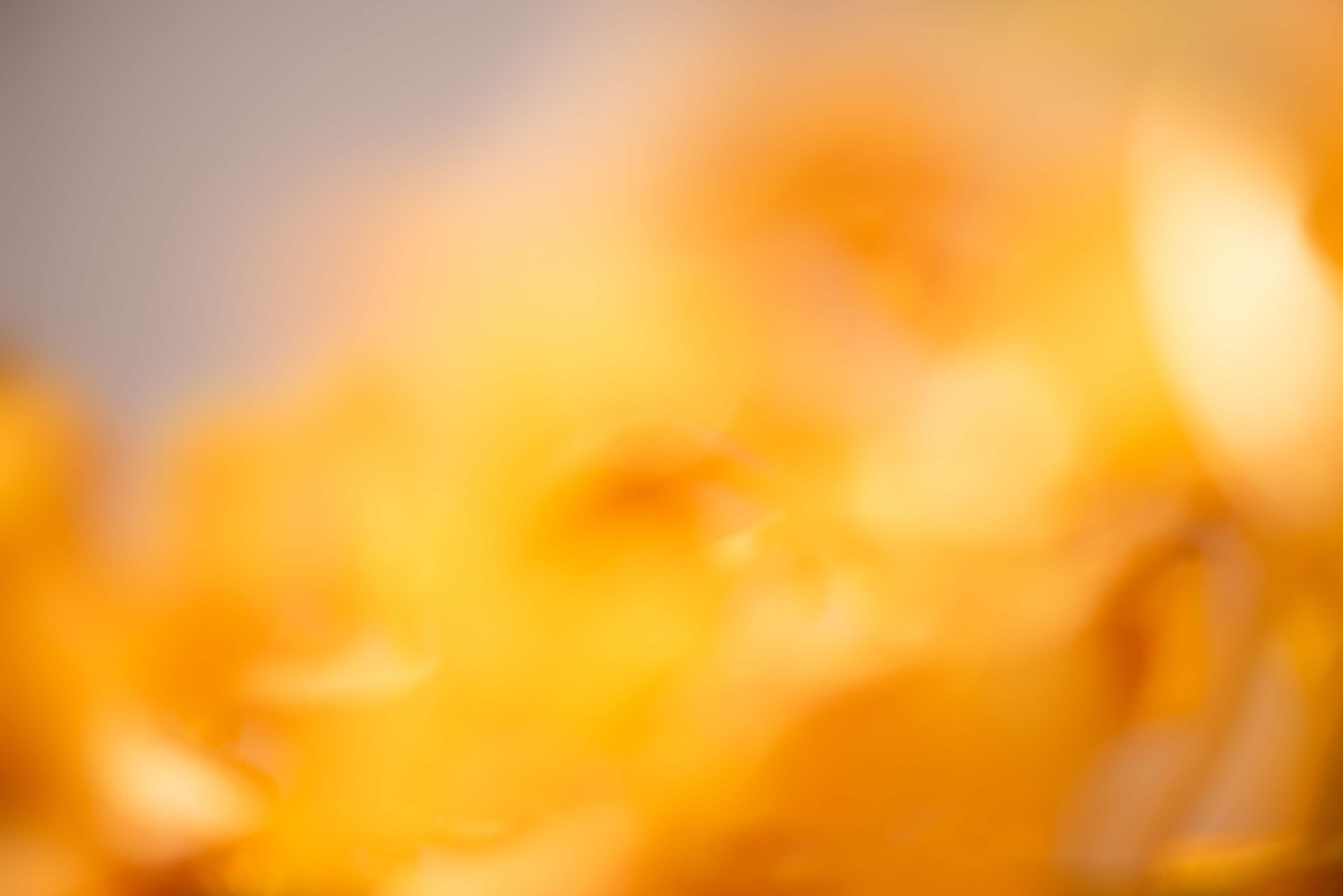 Hazey orange image