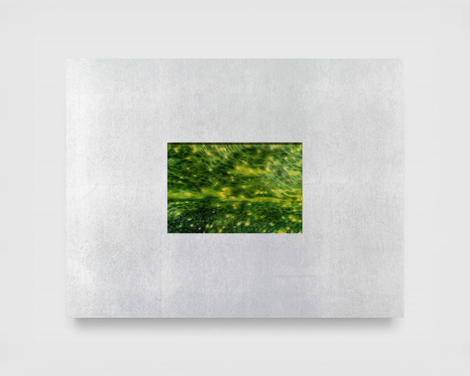 Rituals of Perception 2026