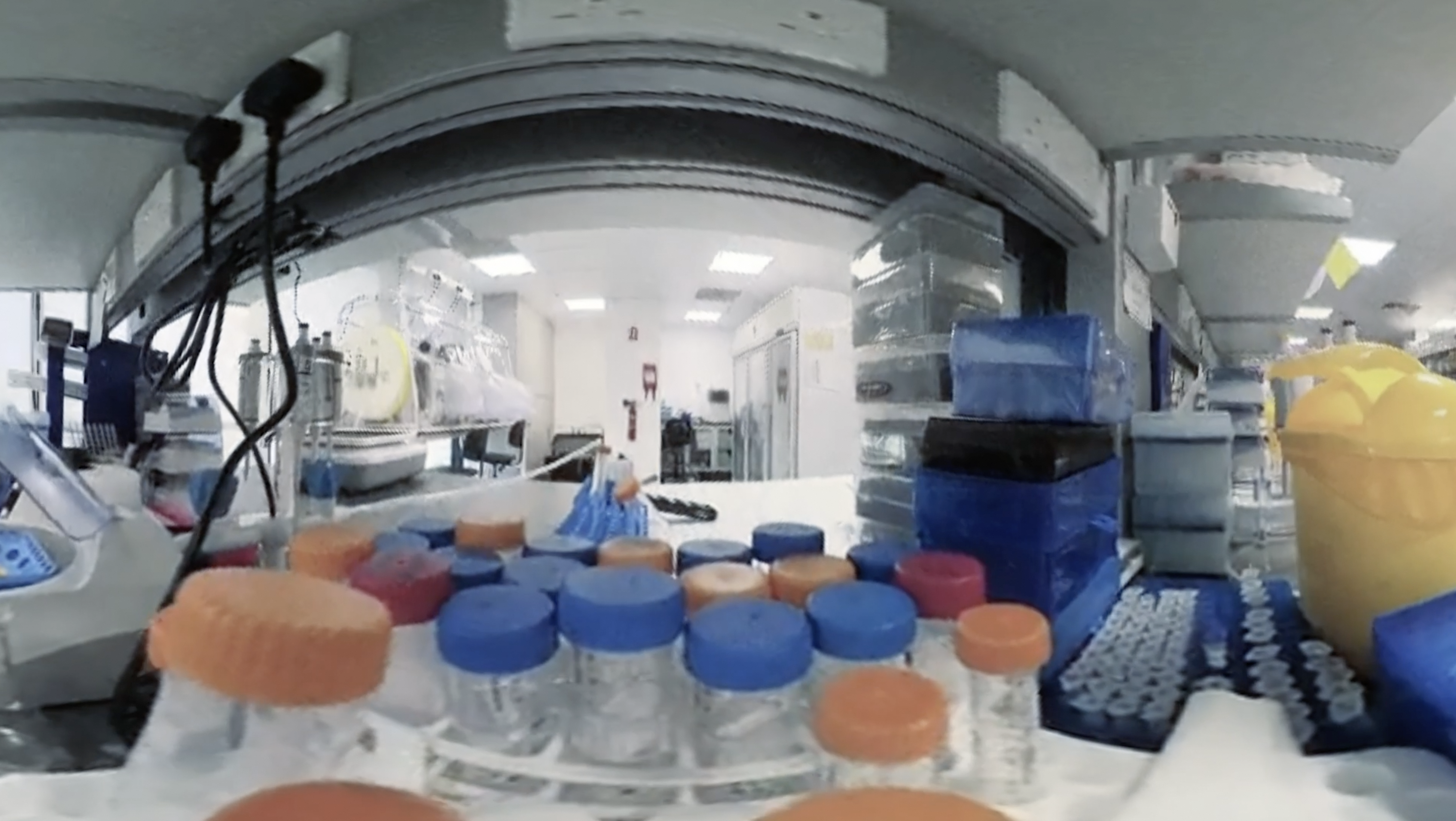 Immortal Words :: 字基