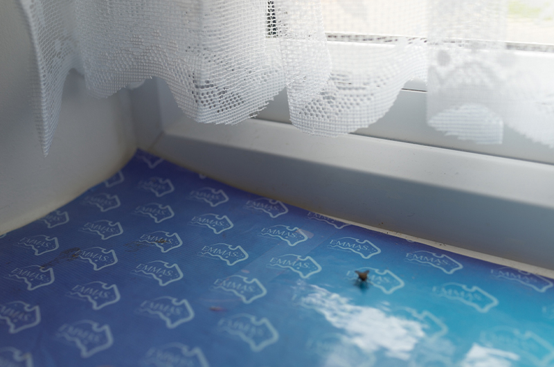 Photograph of a window pane with lace curtains draping from the top