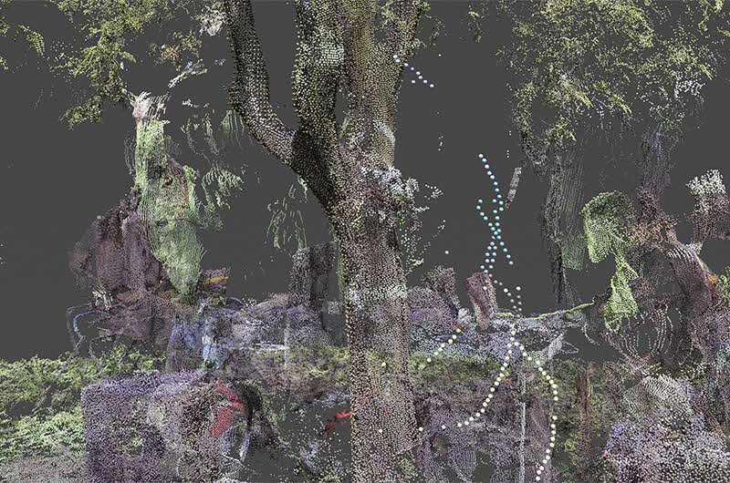 Abstract artwork featuring trees and wispy lines layered over