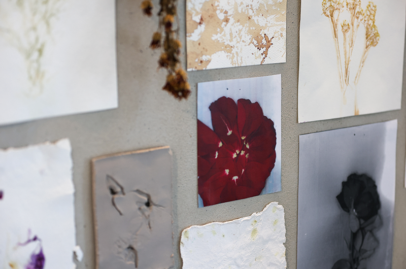 Tending to the Garden: An Archive of Care