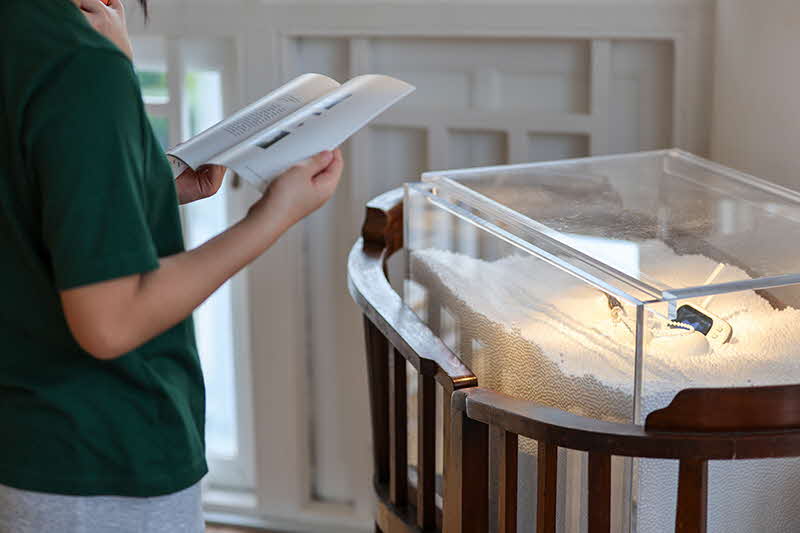 Installation view of the apple’s cushion by Hendra Selamat, 2025. Photo by Ilya Hagi. Courtesy of McNally School of Fine Arts, LASALLE College of the Arts, Singapore. Image