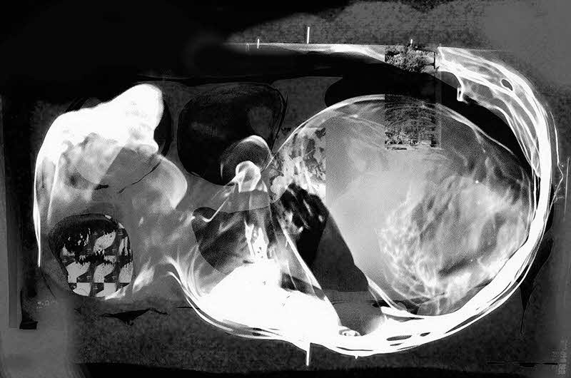 The Womb Never Forgets, 2026