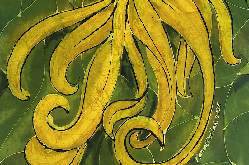 amal Dollah, Kenmanga, 2025 © Kamal Arts