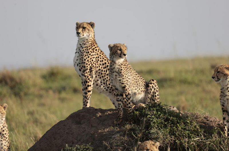 Allure x The Inspired Space