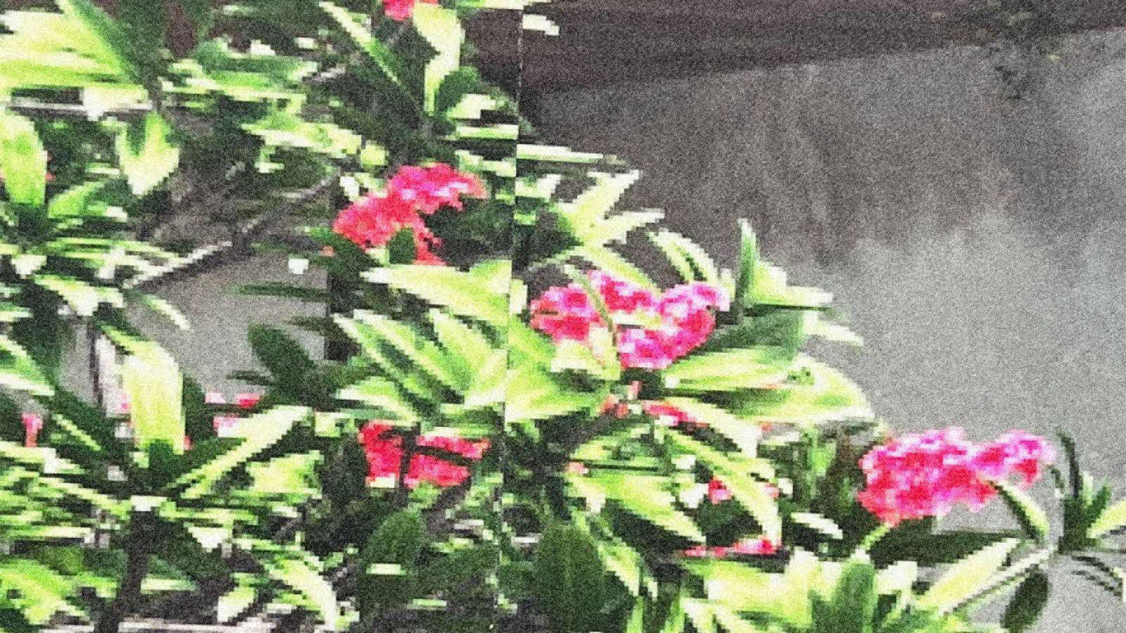 To unfold by feeling, the view from here is perfect