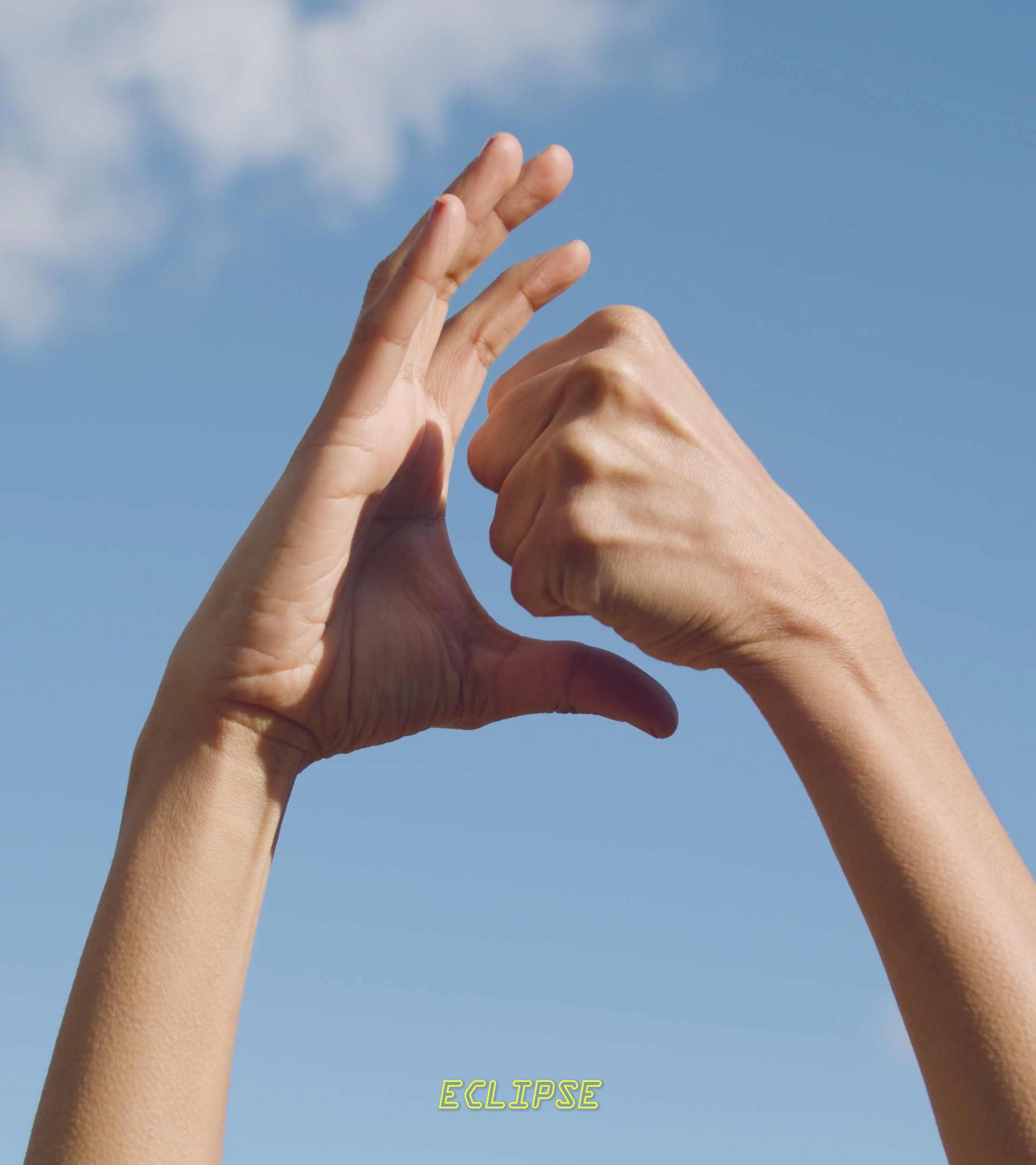 Kent Chan, Future Tropics , 2023. Courtesy the artist.