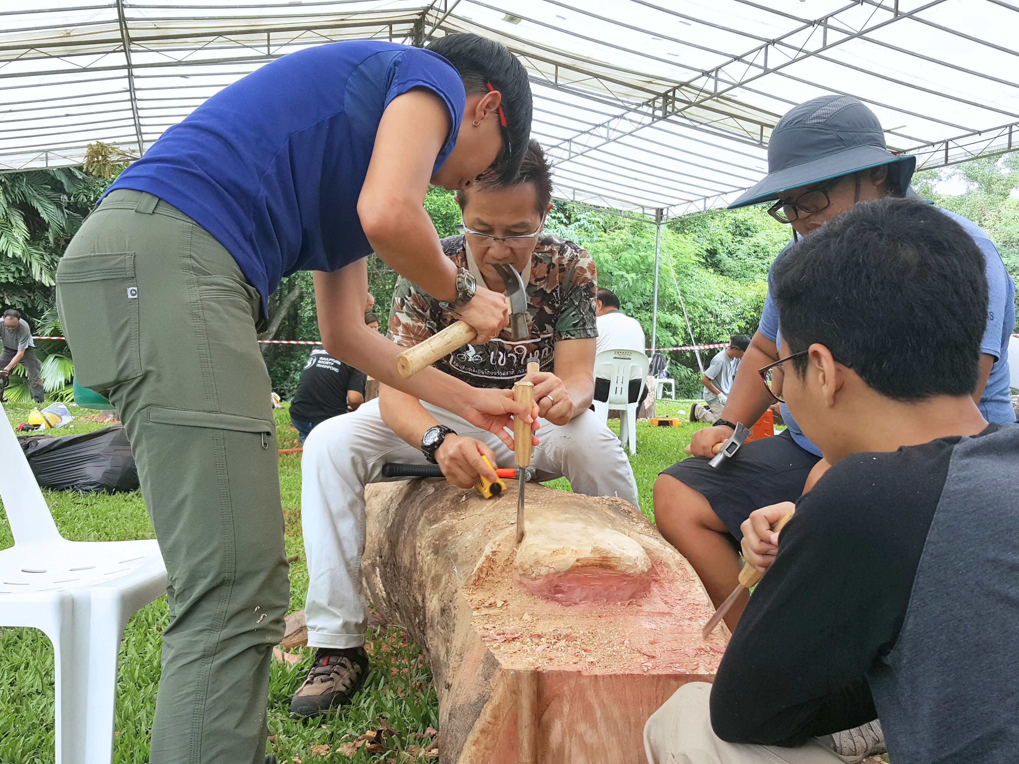 Buzz Before the Mallet's Edge